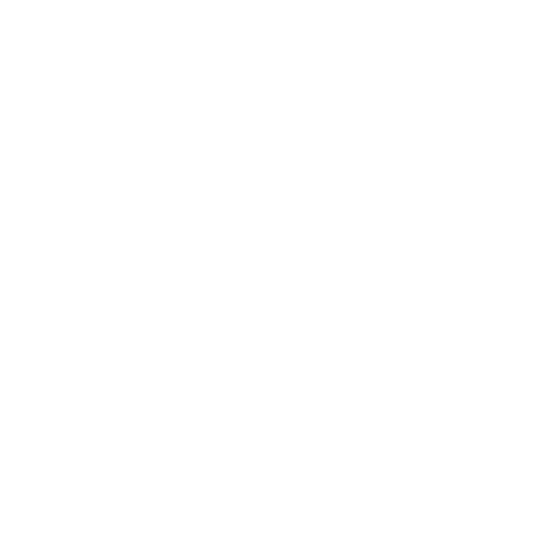 Professional Assessment